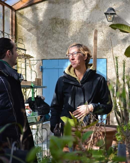 Cotignac: Botanical walk with a herbalist - A Nature Lesson in the Heart of Cotignac