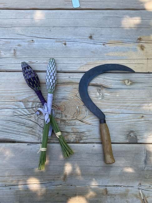 Cotignac: Lavender spindle workshop - Entering the World of Lavender: A Closer Look