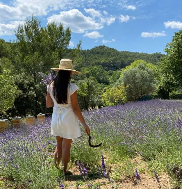 Cotignac: Lavender spindle workshop - Final Thoughts: Is It Worth It?