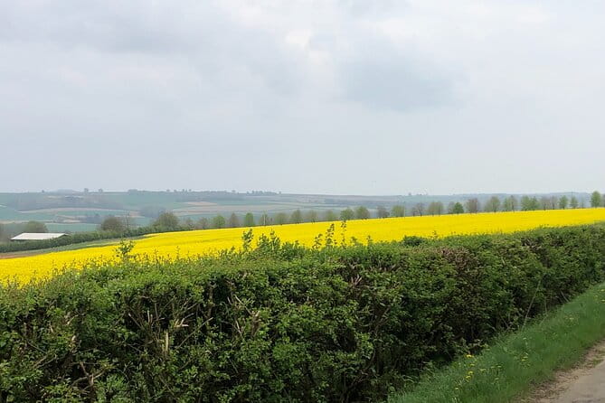 Cotswolds Shore Excursion from Southampton - Exploring the Cotswolds from Southampton: A practical and charming private day trip