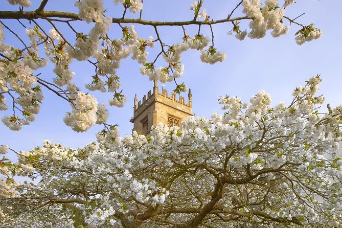 Cotswolds Small Group Tour From London - Group Size and Accessibility