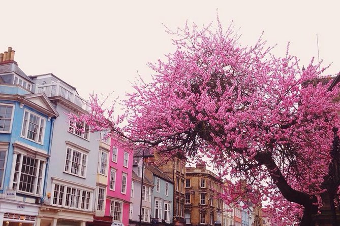 Cotswolds Villages and Oxford Full Day Tour From London - Customer Reviews