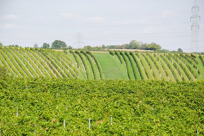 Countryside Half Day Wine Tour Near Vienna - Tour Group Details