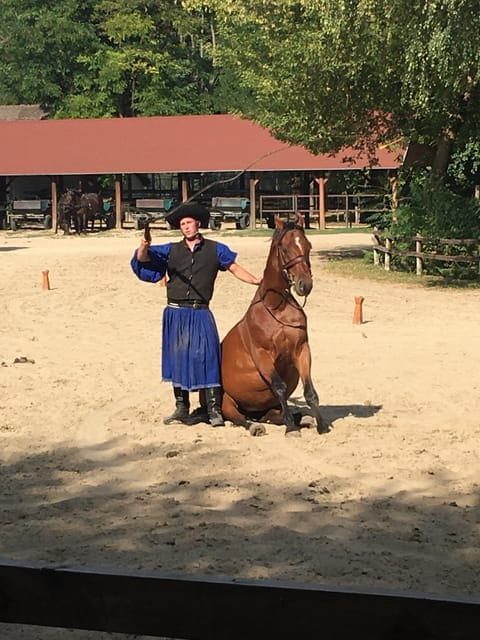 Countryside ranch, horse show & lunch - Final Thoughts