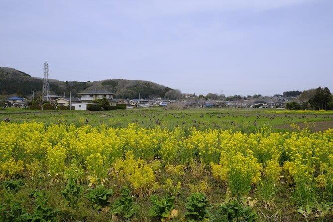 Countryside Walking & Mountain Hiking in Organic Town Near Tokyo - Meeting Your Guide at Ogawamachi Station