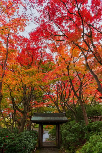 Craft Dining X Performing Arts in the MOA Museum - Traditional Crafts Focus