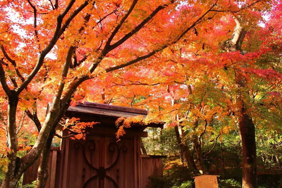 Craft Dining X Performing Arts in the MOA Museum - Frequently Asked Questions