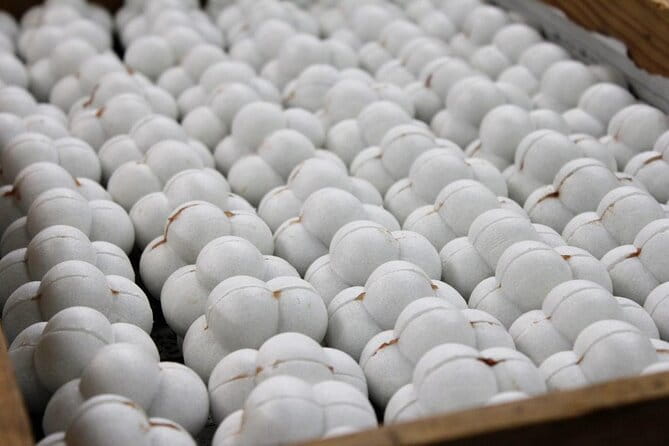 Craft Personalized Fortune Sweets At A Renowned Shop - Meeting Point and Concluding Location