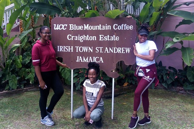Craighton Blue Mountain Coffee Tasting & Farm Tour From Port Royal Cruise Port - Meeting and Pickup