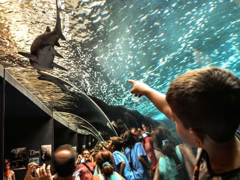 Cretaquarium Tour - Key points / Takeaways