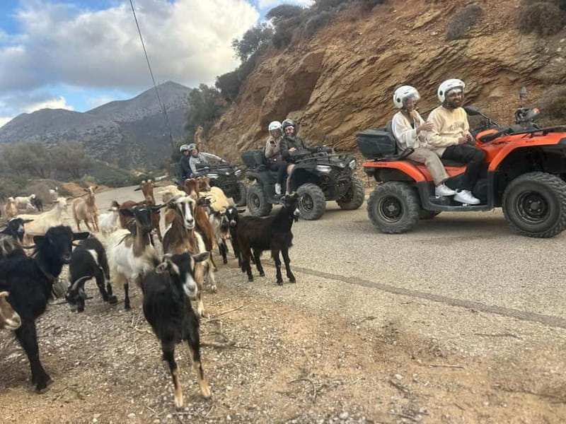 Crete: Agia Pelagia Quad Safari Private Tour - Riding Through Crete: A Closer Look at the Itinerary