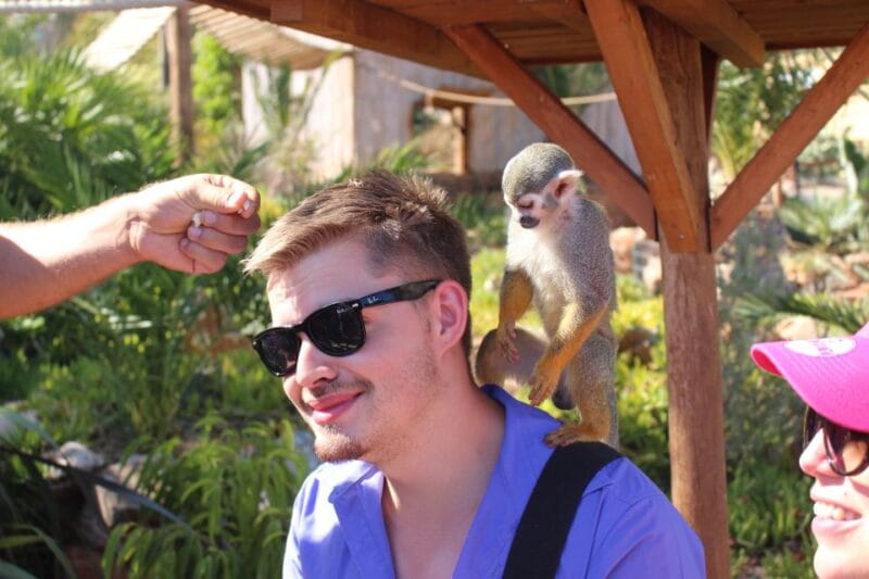 Crete: Agios Nikolaos, Kritsa and Amazonas Park Day Trip - An Engaging Introduction to Crete’s Eastern Charm