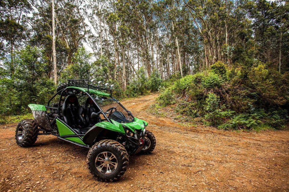 Crete Buggy Safari - Requirements and Restrictions