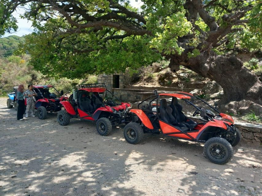 Crete Buggy Safari - Customer Ratings and Feedback