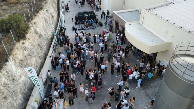 Crete: Craft Beer & Cretan Flavors Tour with Lunch - Exploring Crete’s Craft Beer Scene: A Practical Guide