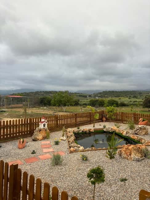 Crete: Farm Visit with Cheese Tasting and Milking Experience - Relaxing and Exploring the Farm Grounds