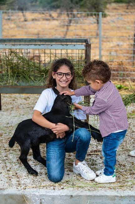 Crete: Farm Visit with Cheese Tasting and Milking Experience - Price and Value