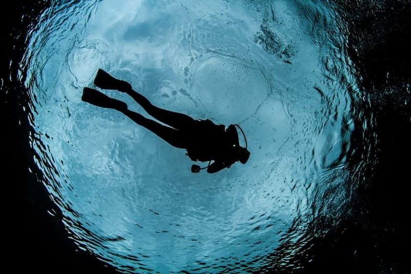 Crete: Guided Diving Experience for Certified Divers - Site Highlights: What Makes Each Stop Special?