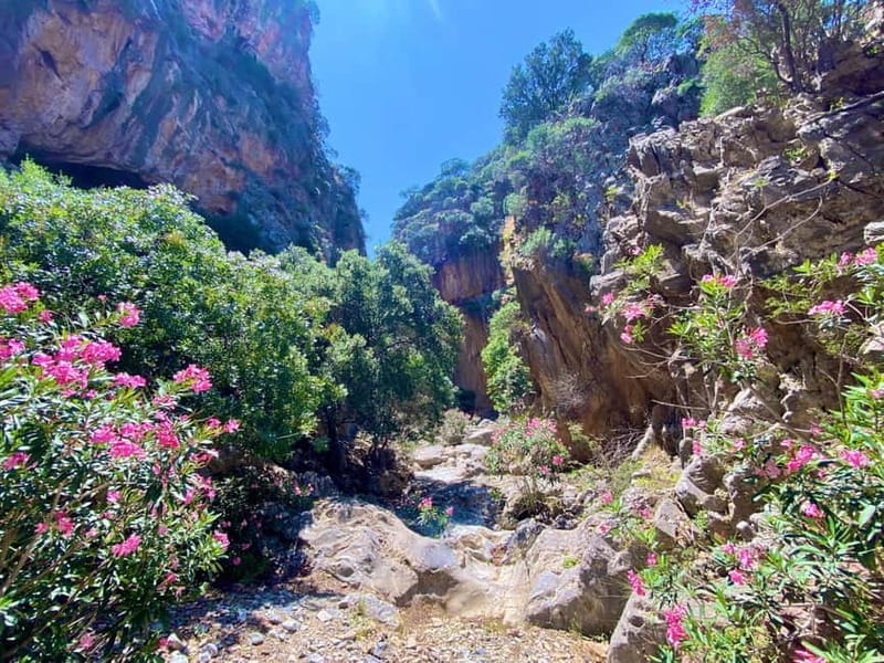 Crete: Guided Hiking Tour, Kavousi Canyon & Swimming - Logistics and Practical Details