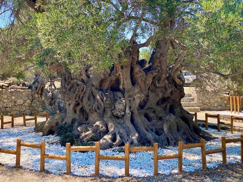 Crete: Guided Hiking Tour, Kavousi Canyon & Swimming - Final Thoughts on Value and Experience