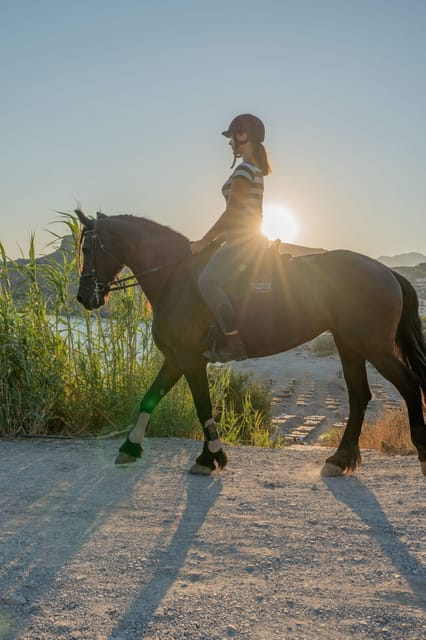 Crete Horse Riding: East Coastline Ride - Key points / Takeaways