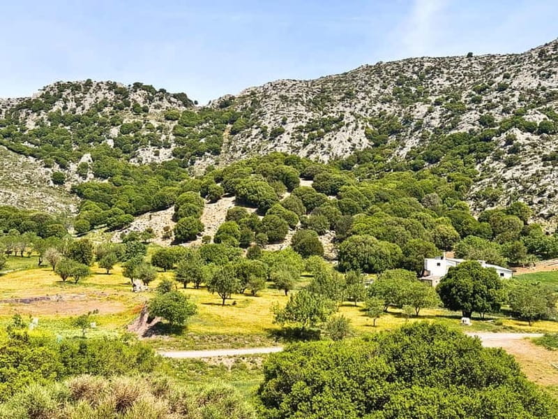 Crete: Jeep Safari to Lasithi Plateau - FAQ