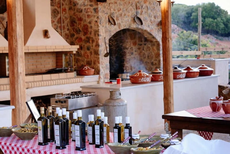 Crete: Knossos, Lasithi, Lasinthos and Olive Farm Combo Tour - Who Will Love This Tour?