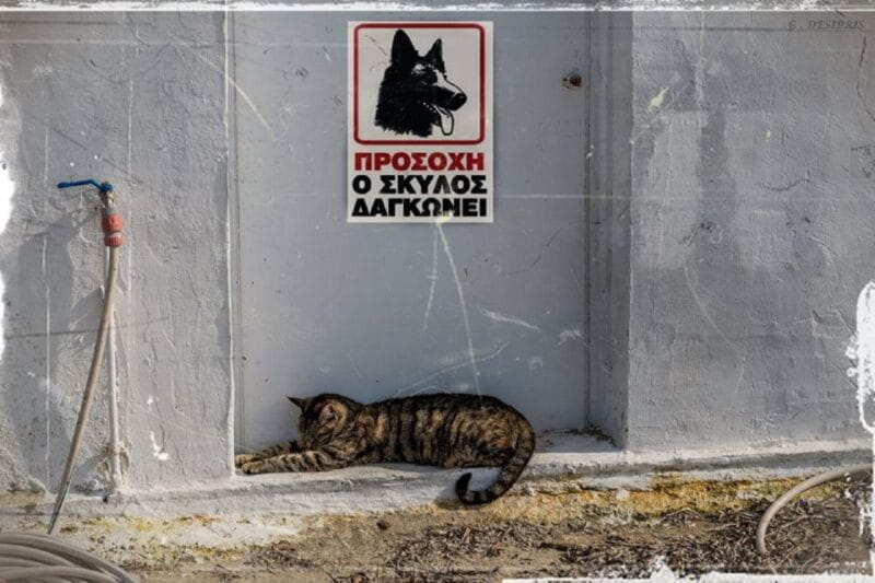 Crete: Knossos Palace and Museum Skip the line Guided tour - Practical Details and Logistics