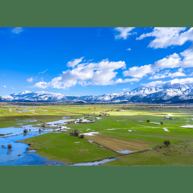 Crete: Knossos Palace, Lasithi, Olive Oil Factory Tour - Practical Details: Transportation, Timing, and Value