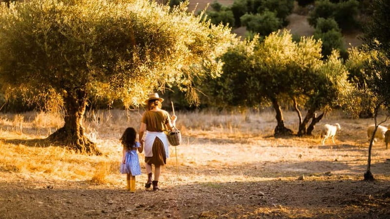 Crete: Knossos Palace, Olive Oil Tasting, and Heraklion Tour - Key Points / Takeaways