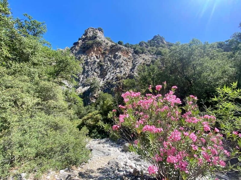 Crete: Kritsa Canyon Guided Hiking Tour - Key points / Takeaways