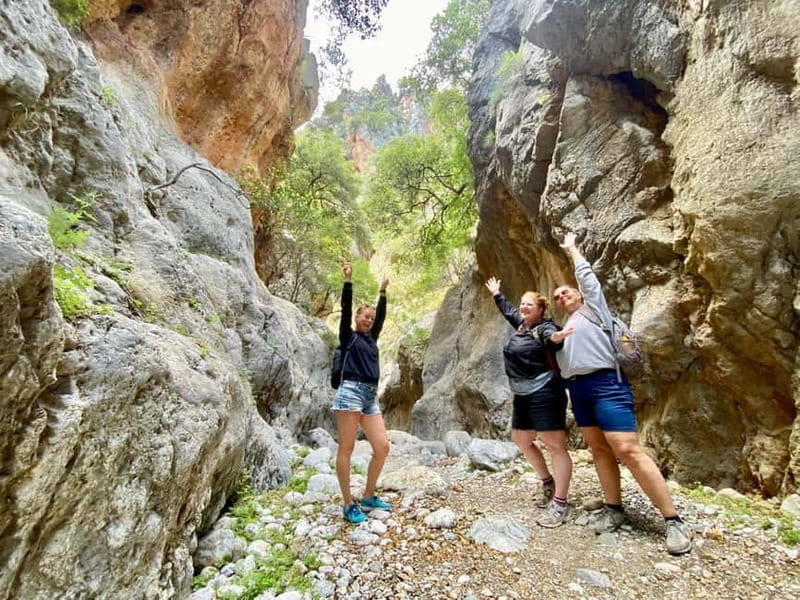 Crete: Kritsa Canyon Guided Hiking Tour - Practicalities: Price, Logistics, and Value