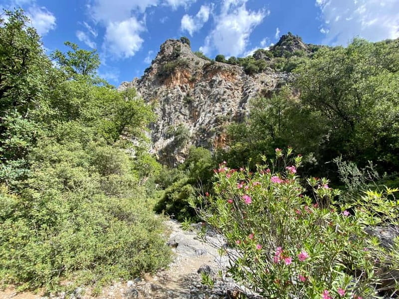 Crete: Kritsa Canyon Guided Hiking Tour - Who Might Not Be the Best Fit?