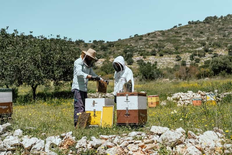 Crete: Melidoni Cave, Honey, Olive Oil & Reptisland - Who This Tour Suits Best