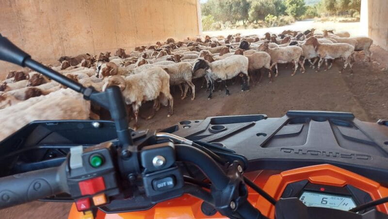 Crete: Off-Road Quad Safari with Hotel Transfers and Lunch - Final Thoughts: Who Will Love This Experience?