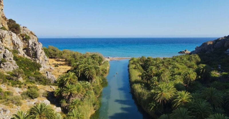 Crete: Preveli Tropical Beach and Palm Forest - The Palm Forest: A Lush, Tropical Escape