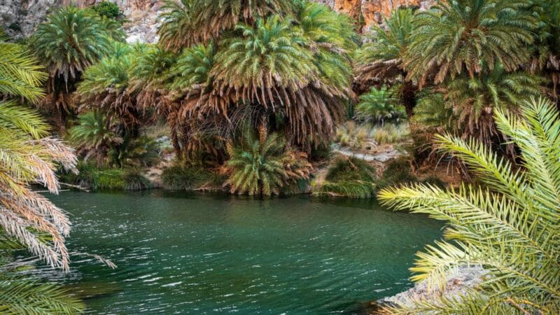 Crete: Preveli Tropical Beach - Crete’s Hidden Gem: Preveli Tropical Beach