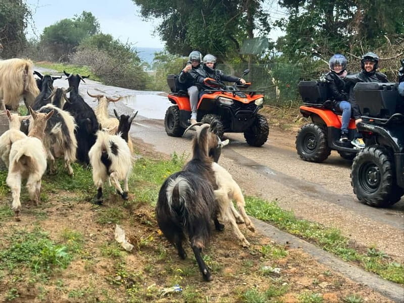 Crete: Quad Safari with Ghost Town Exploration - Key Points / Takeaways