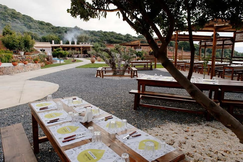 Crete: Road-trip to Lasithi Plateau & Olive Mill Farm - Who Is This Tour Best For?