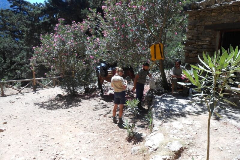 Crete: Samaria Gorge Hiking with transfer and expert Escort - Who Will Love This Tour?