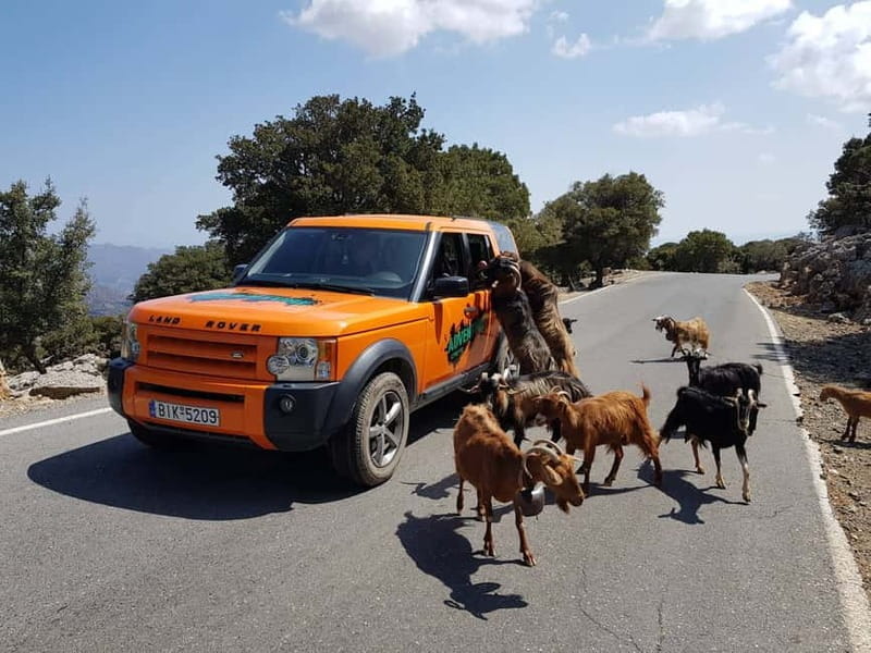 Crete: Sarakina Gorge, Forests, and South Coast Safari - Key Points / Takeaways