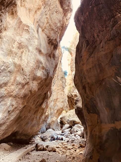 Crete: Sarakina Gorge, Forests, and South Coast Safari - The Mountain Forest of Kroustas and Scenic Drives