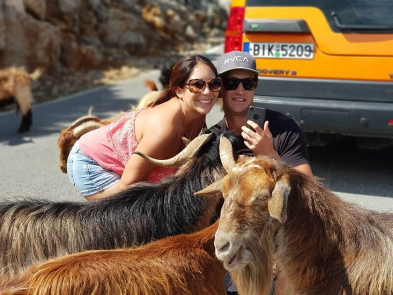 Crete: Sarakina Gorge, Forests, and South Coast Safari - Price and Value