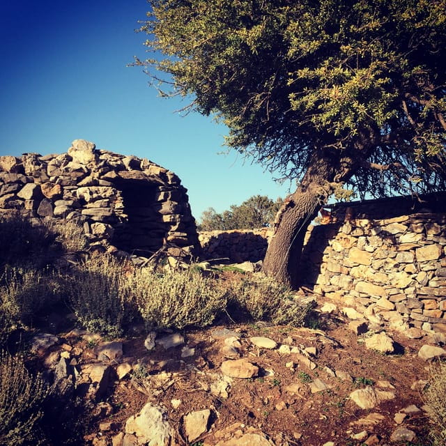 Crete: White Mountains Preserve Day Tour - Entering Crete’s Rugged Heart: The White Mountains Journey