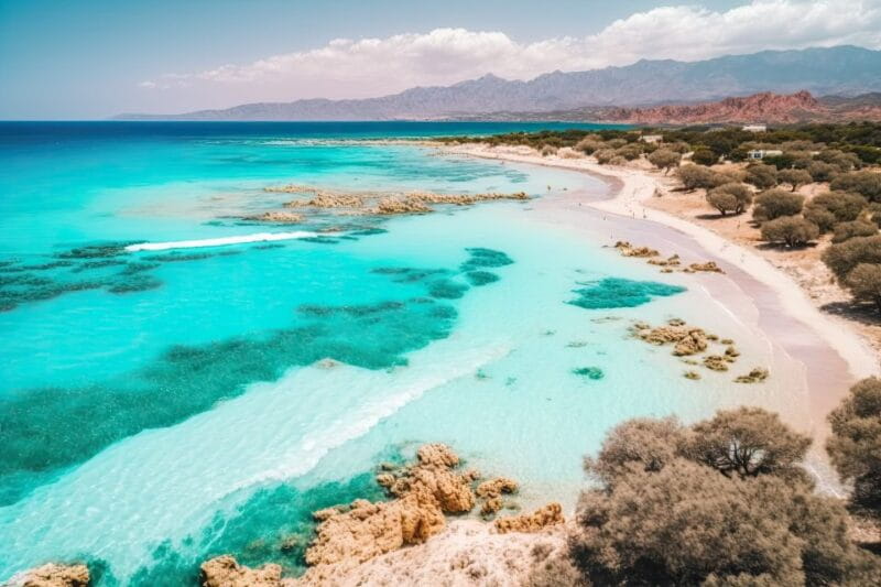 Crete's Pink Wonder: Elafonisi Beach Trip from Chania/ Souda - Who Is This Tour Best For?