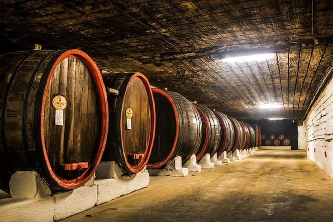 Cricova Winery with Tasting - The Guided Tour Experience