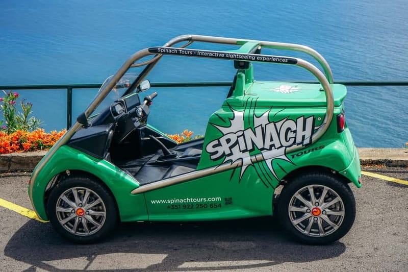 Cristiano Ronaldo Guided Tour with Tickets to CR7 Museum - Discovering Madeira: A Full Breakdown of the Tour