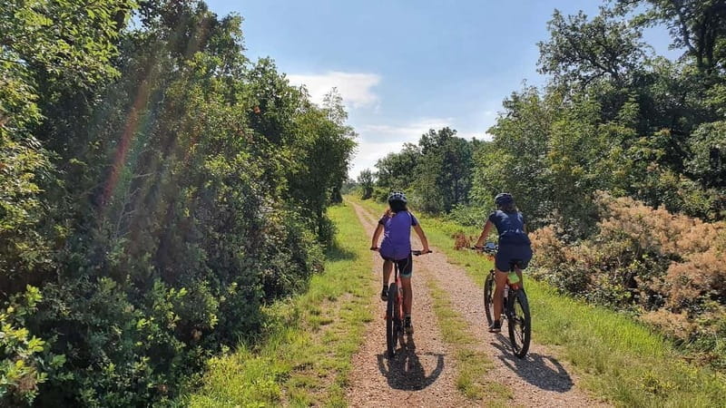 Croatia, Istria: 7-Day Premium Cycling & Gourmet E-Bike Tour - The Experience of Riding E-Bikes Through Istria