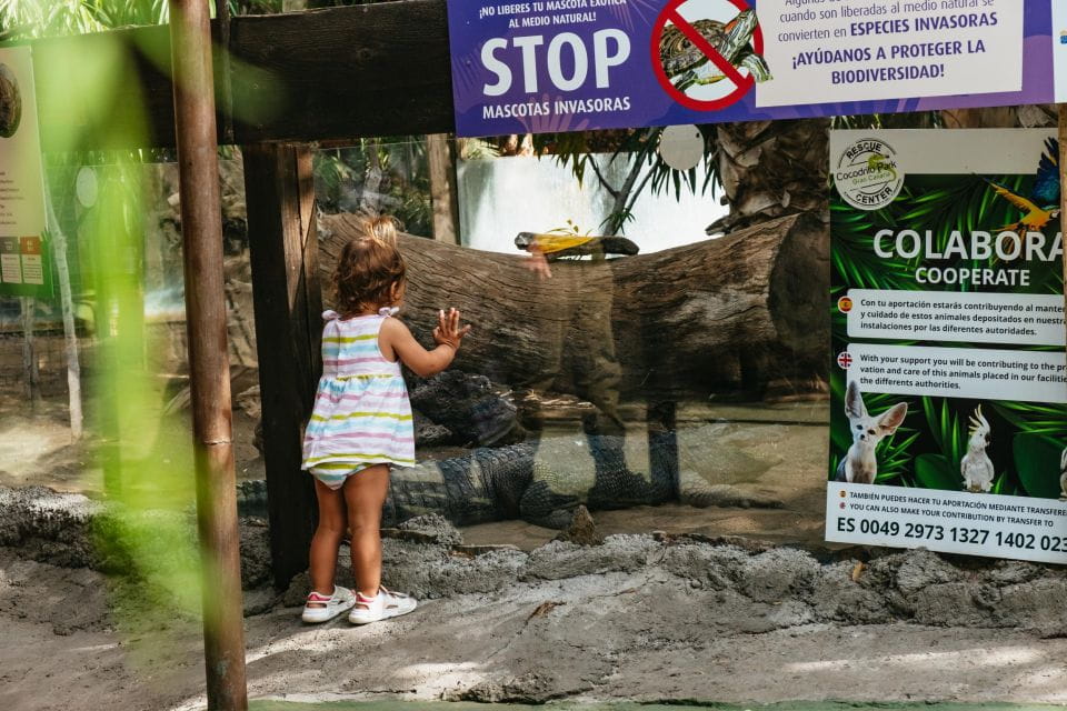 Crocodile Park Zoo Entry Ticket - Explore Cocodrilo Park
