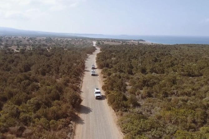 Cruise and 4X4 Safari Tour at Akamas Peninsula from Paphos - Key Points